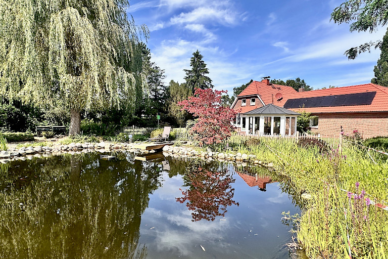 Blick über den Teich