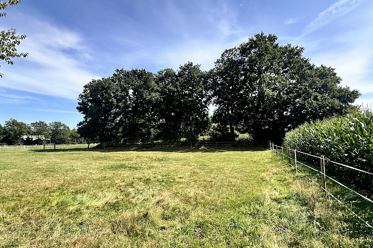 Weidekoppel